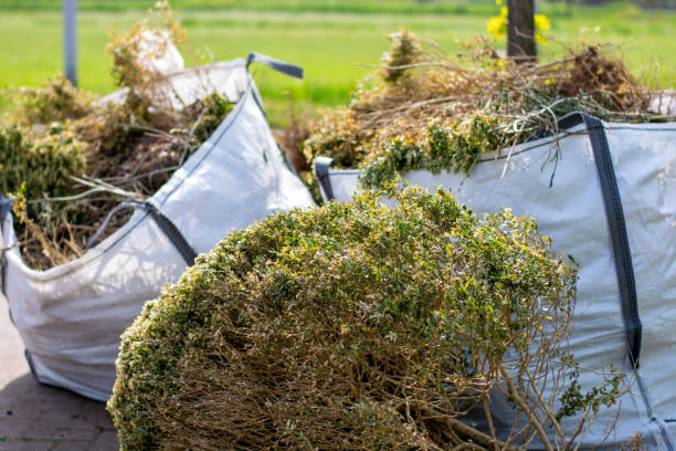 Best Electronics Removal Services  in Forest, OH