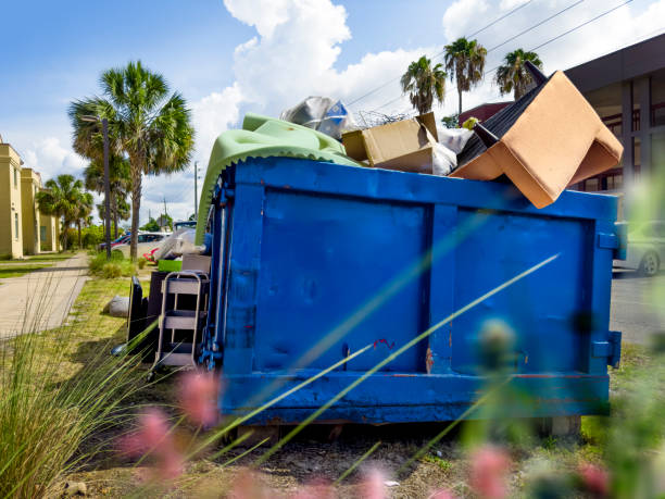 Best Basement Cleanout Services  in Forest, OH